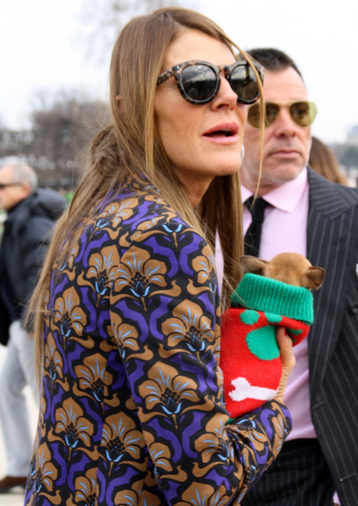 Anna Dello Russo Street Style Paris Fashion Week A/W 2013