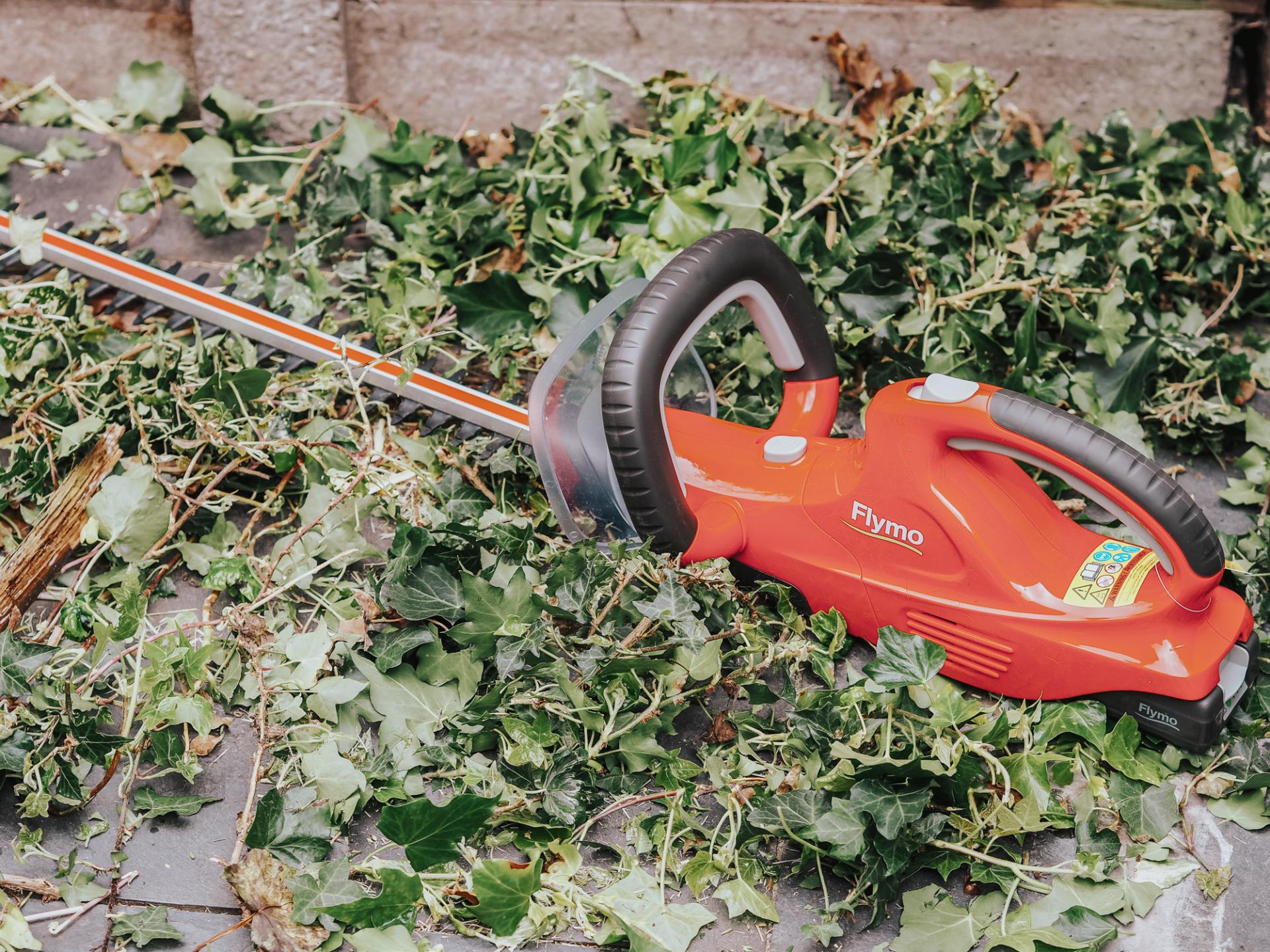 Flymo hedge trimmer review from blogger Bunnipunch